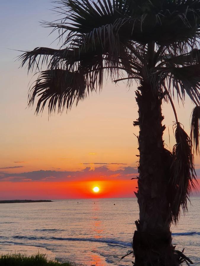 Gemuetliche Ferienwohnung In Torrevieja Ca100M Vom Strand Playa Del Cura Entfernt 외부 사진