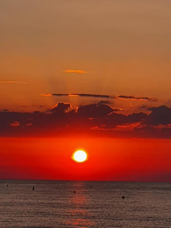 Gemuetliche Ferienwohnung In Torrevieja Ca100M Vom Strand Playa Del Cura Entfernt 외부 사진